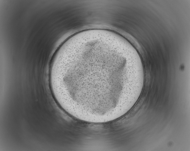 X0000116761006201001141425