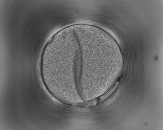 X0000116761007201001141425