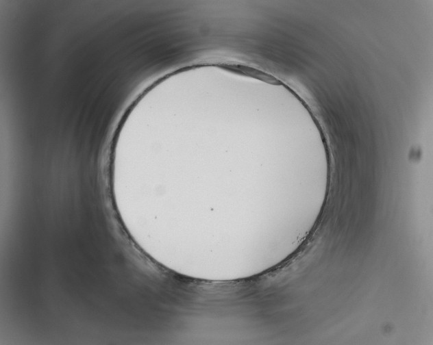 X0000116761008201001141425