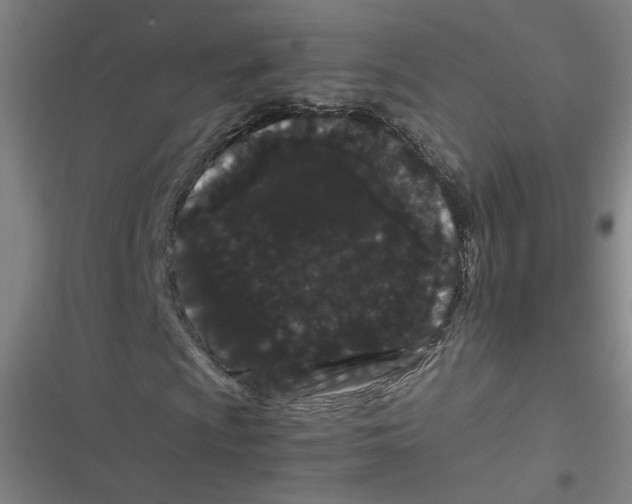 X0000116761009201001141425