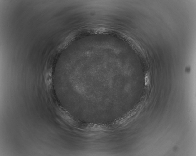 X0000116761011201001141425