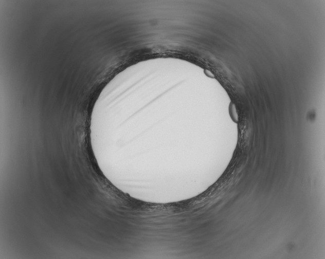 X0000116761012201001141425