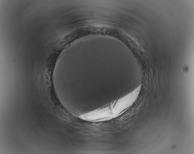 X0000116761013201001141425