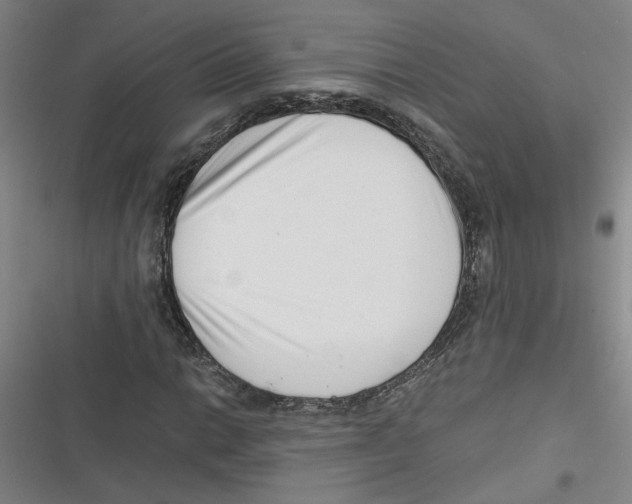 X0000116761014201001141425