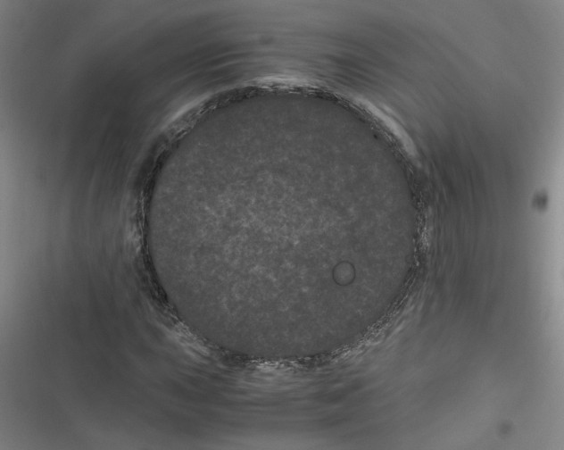 X0000116761015201001141425