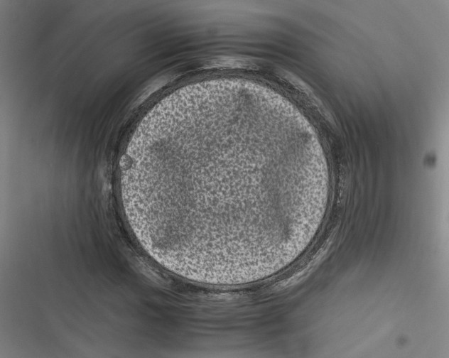 X0000116761017201001141425