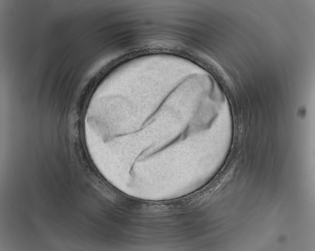 X0000116761019201001141425