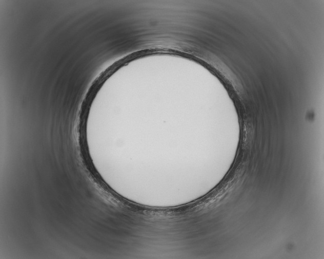 X0000116761020201001141425