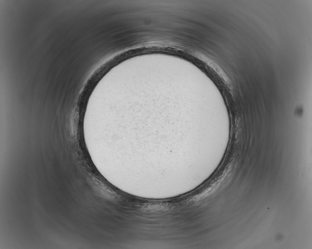 X0000116761021201001141425