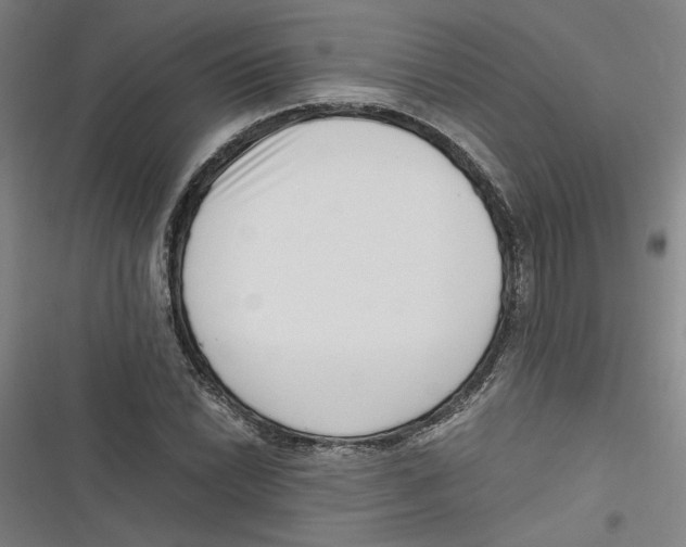 X0000116761022201001141425