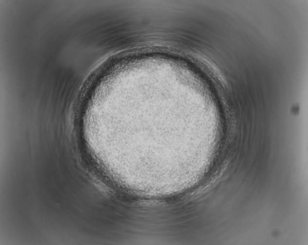 X0000116761023201001141425