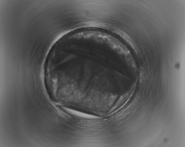 X0000116761024201001141425