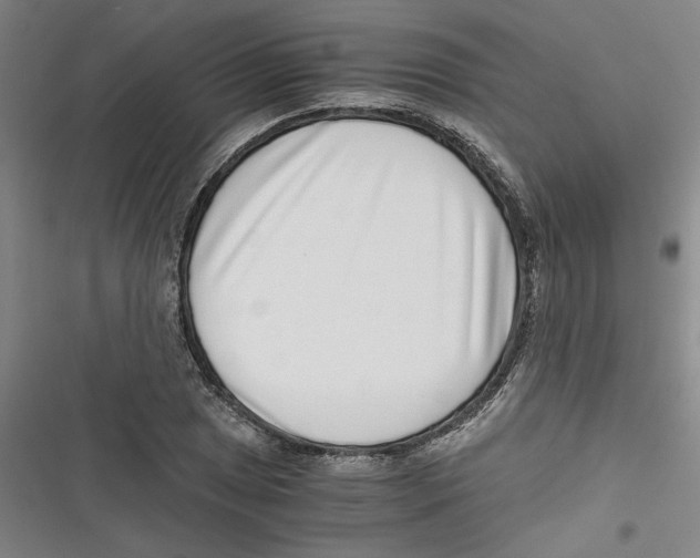 X0000116761025201001141425