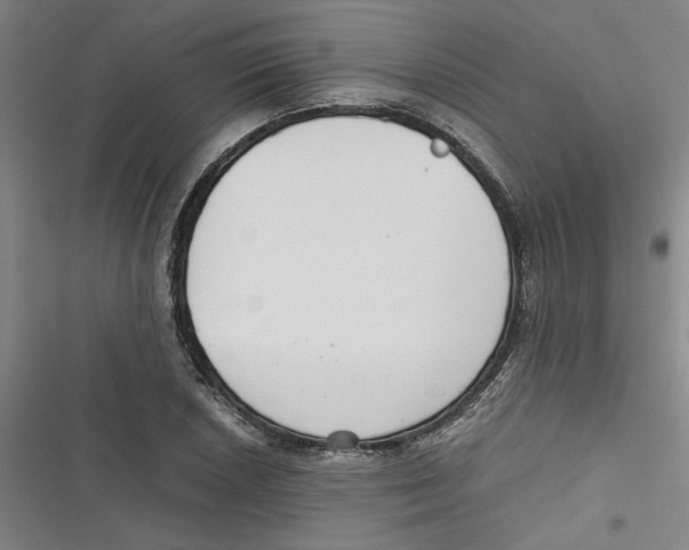 X0000116761026201001141425