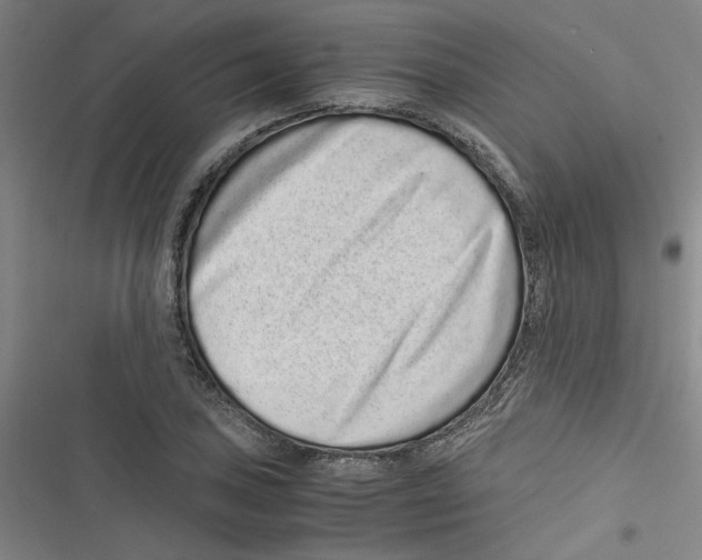 X0000116761027201001141425