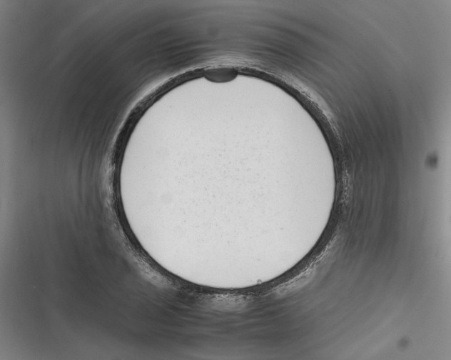 X0000116761029201001141425