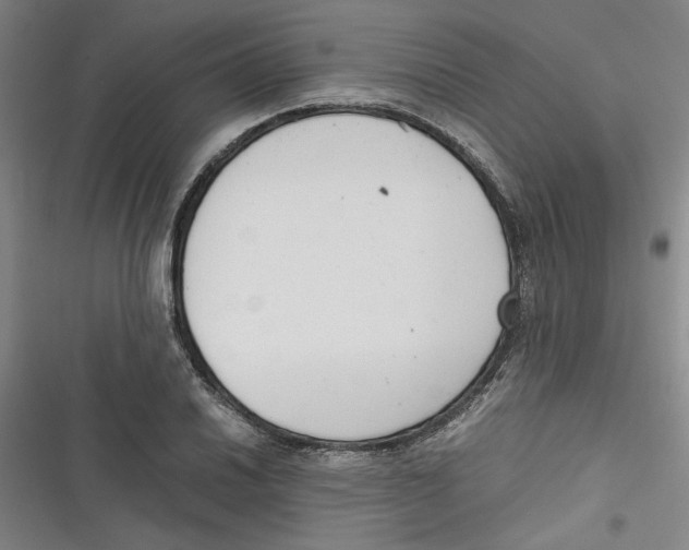 X0000116761030201001141425