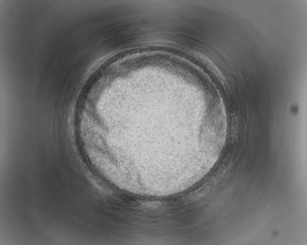 X0000116761031201001141425