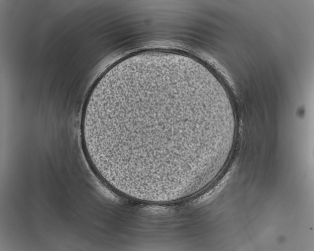 X0000116761033201001141425