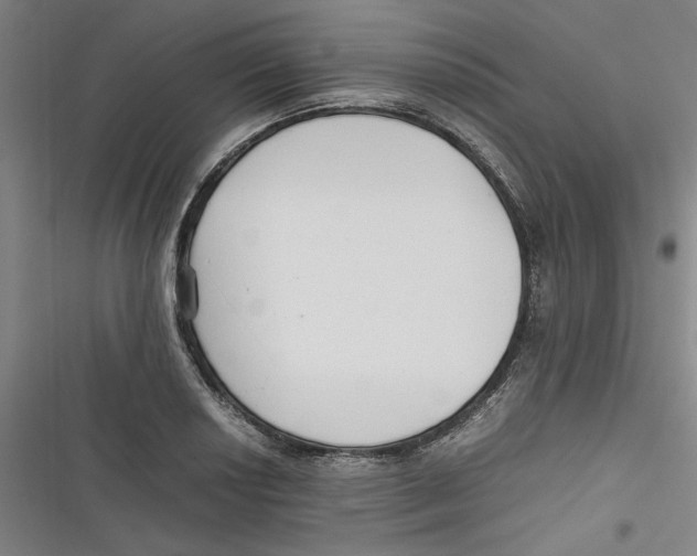 X0000116761034201001141425