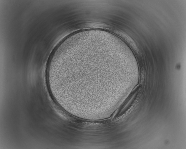 X0000116761039201001141425