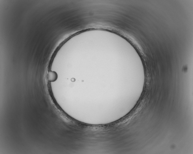 X0000116761040201001141425