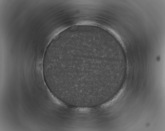 X0000116761041201001141425