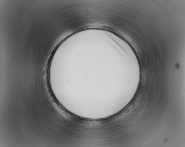 X0000116761042201001141425