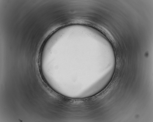 X0000116761043201001141425