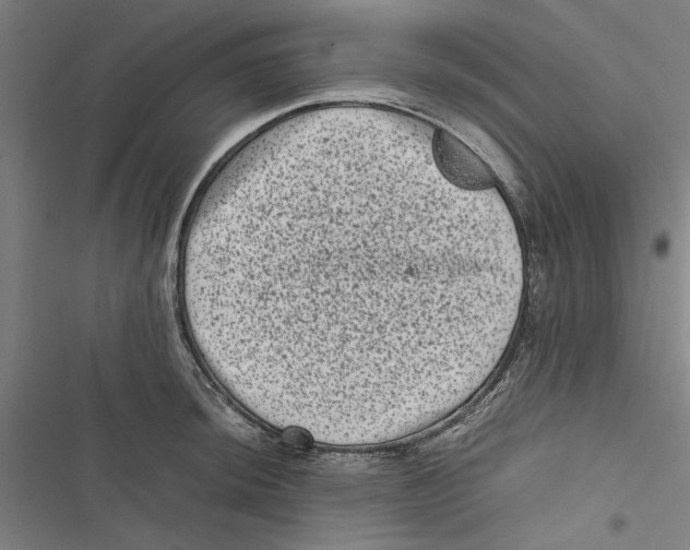 X0000116761044201001141425