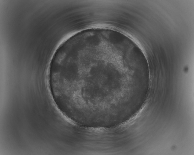 X0000116761045201001141425