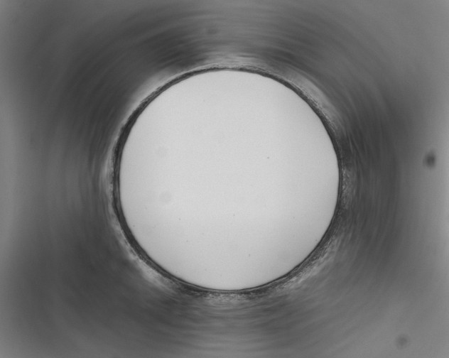 X0000116761046201001141425