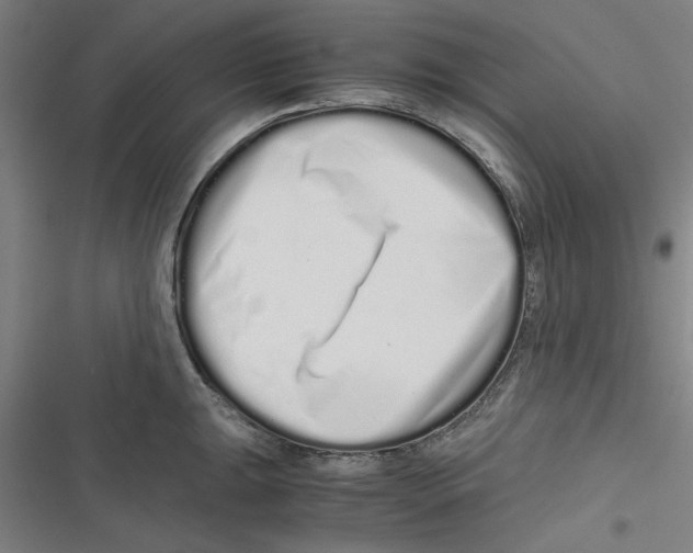 X0000116761047201001141425