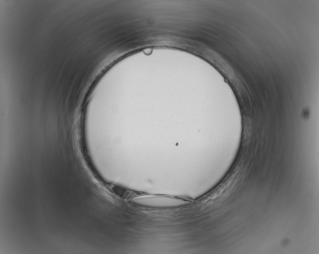 X0000116761048201001141425