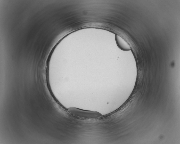 X0000116761050201001141425