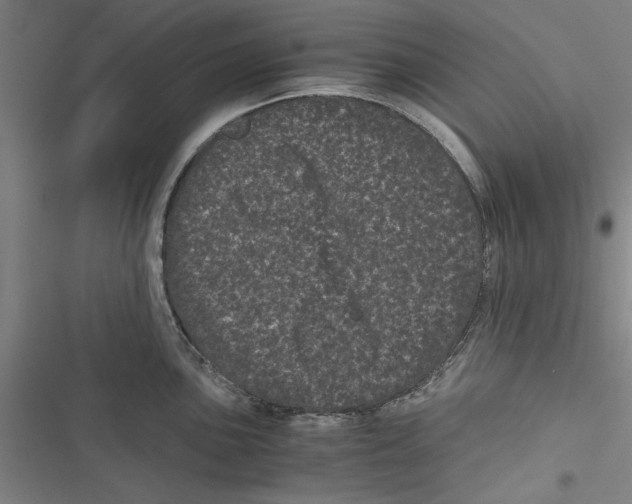 X0000116761051201001141425