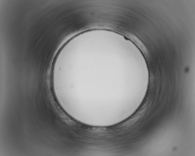 X0000116761052201001141425