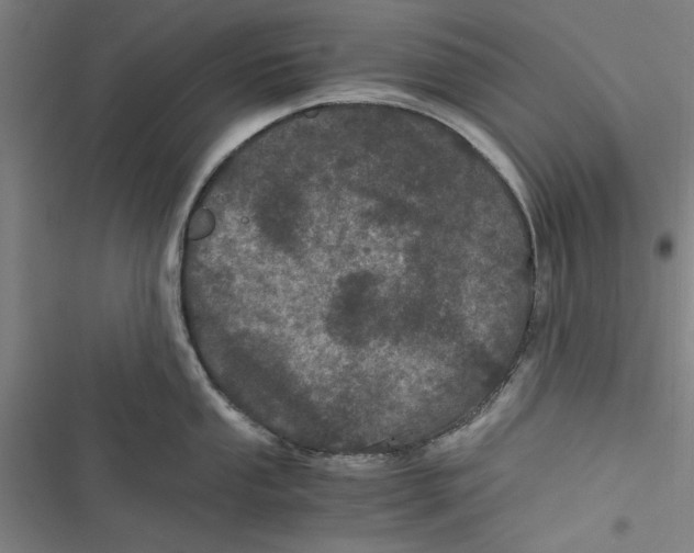 X0000116761053201001141425