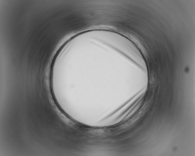 X0000116761054201001141425