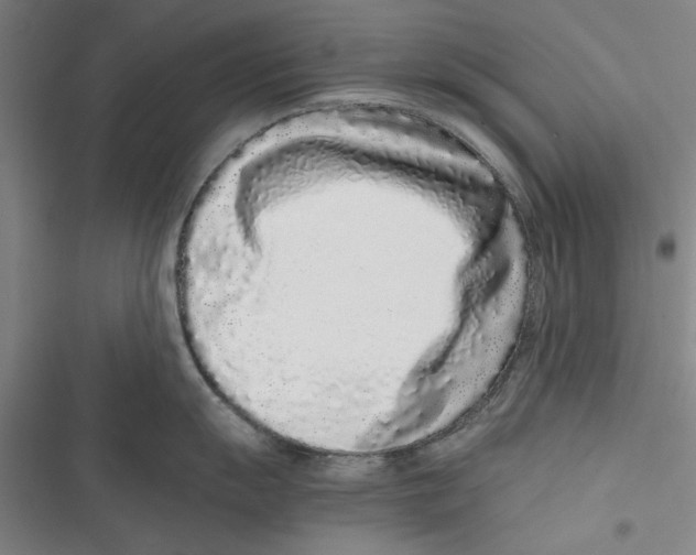 X0000116761055201001141425