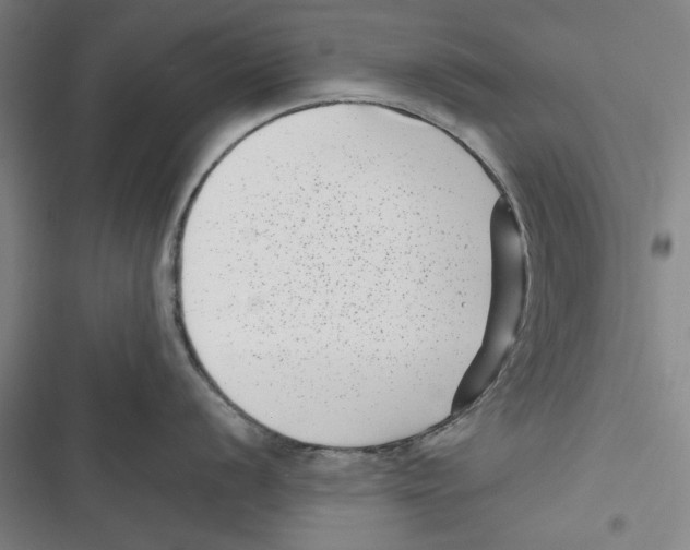 X0000116761056201001141425