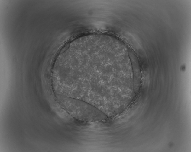 X0000116761057201001141425