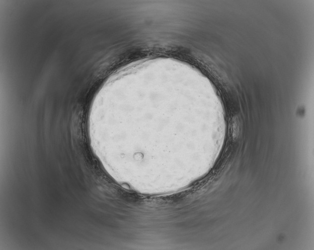 X0000116761059201001141425