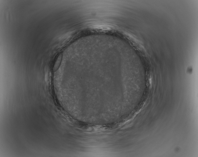 X0000116761061201001141425