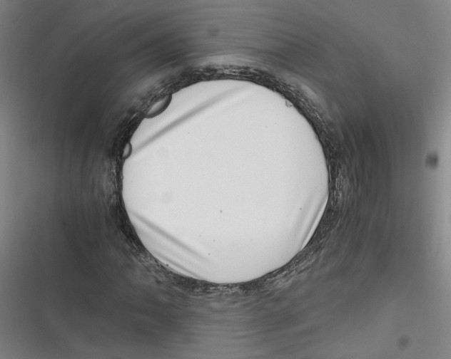 X0000116761062201001141425