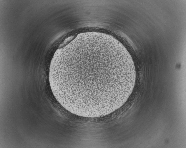 X0000116761064201001141425