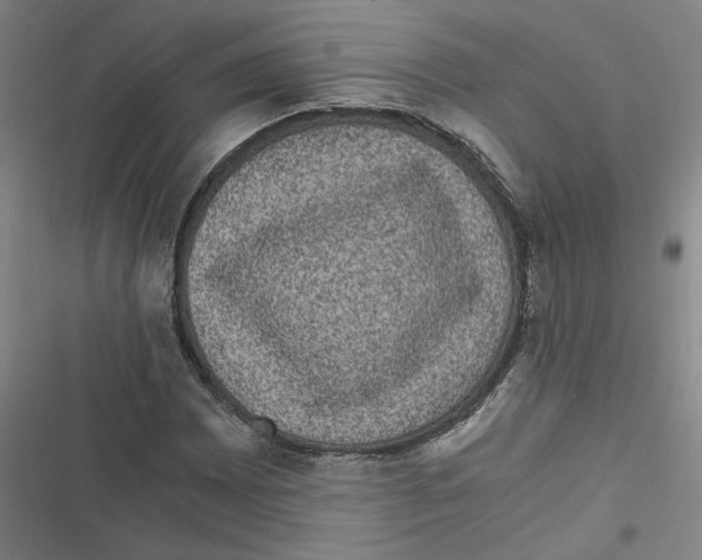 X0000116761065201001141425