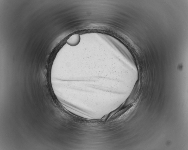 X0000116761066201001141425