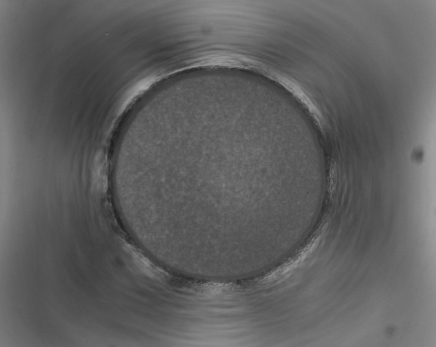 X0000116761067201001141425