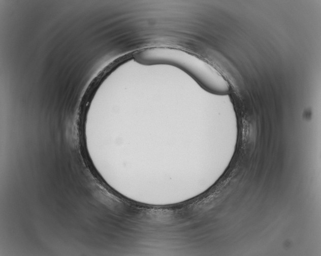 X0000116761068201001141425